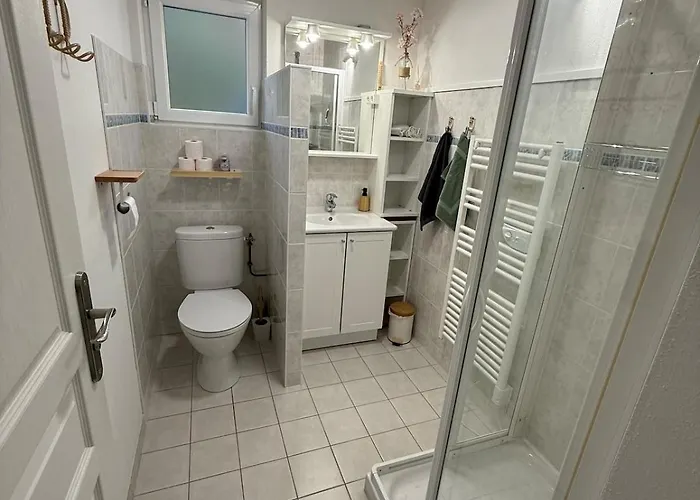 Vu Exceptionnel Sur Le 2 Apartment Gerardmer